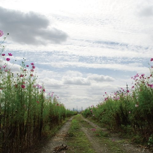 黄色性交叫床视频

